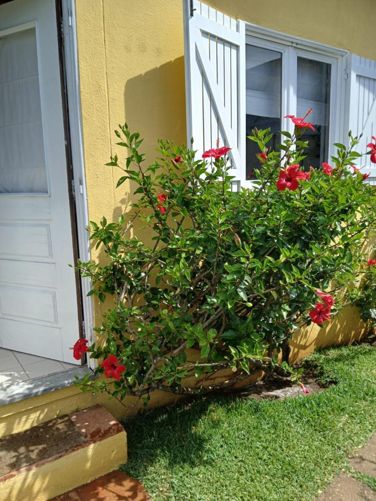 Casa Da Ria 78 Villa ตอร์เฮย์รา ภายนอก รูปภาพ